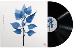 Get Sunk di Matt Berninger - LP