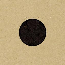 Birthing di Swans - CD/DVD Birthing di Swans - CD/DVD