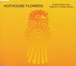 This Is It (Your Soul) di Hothouse Flowers - CD Single