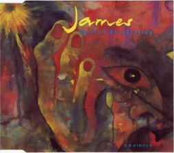 Born Of Frustration di James - CD Single