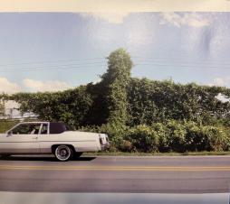 When I Go I Ghost di Cory Branan - CD