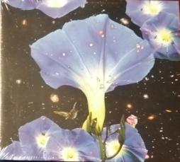 Nighttime_Birds_And_Morning_Stars-Sarah_Louise_5