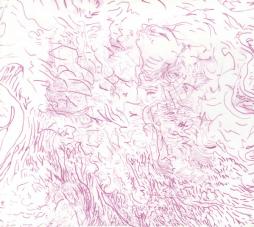 Voices_Of_Bishara-Tom_Skinner