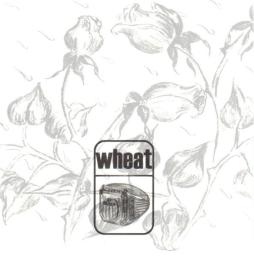 Medeiros di Wheat - CD