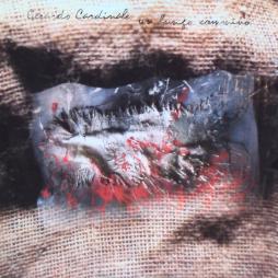 Un Lungo Cammino di Gerardo Cardinale - CD