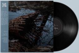 Sùrtum di Massimo Silverio - LP