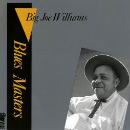 Blues Masters, Vol. 2 di Big Joe Williams - CD