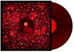 Hen's Teeth di Iron &amp; Wine