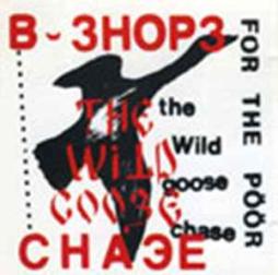 The Wild Goose di B-Shops For The Poor - CD