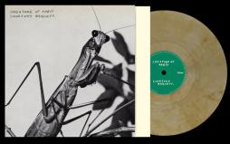 Creature Of Habit di Courtney Barnett - LP