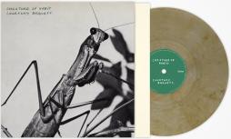 Creature Of Habit di Courtney Barnett - LP Creature Of Habit di Courtney Barnett - LP