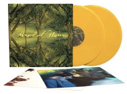 Everything All The Time - 20th Anniversary Edition di Band Of Horses - LP