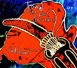 Fall Down di Toad The Wet Sprocket