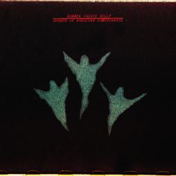 Ghosts Of American Psychonauts di Bonnie "prince" Billy - CD