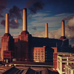 Animals di Pink Floyd - CD