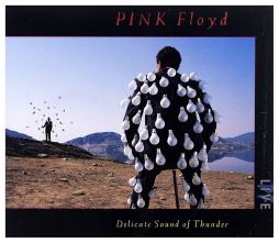 Delicate Sound Of Thunder di Pink Floyd - CD