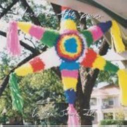 Love Is The Power di William James IV - CD