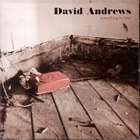 Everything To Lose di David Andrews - CD