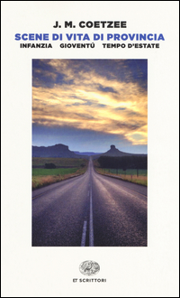 Scene Di Vita Di Provincia Infanzia-gioventu`-tempo D`estate  di Coetzee J. M. - libri