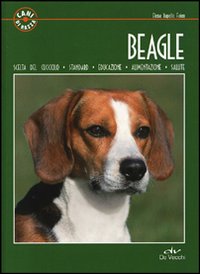 Beagle_-Rapello_Faion_Elena
