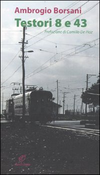 Testori 8 E 43  di Borsani Ambrogio - Libro Testori 8 E 43  di Borsani Ambrogio - Libro