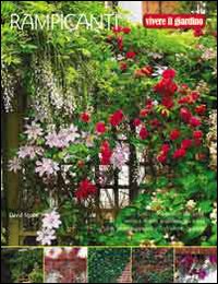 Rampicanti  di Aa.vv. - libri