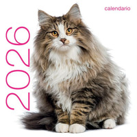 Gatti. Calendario Da Muro 2026  di Aa.vv.